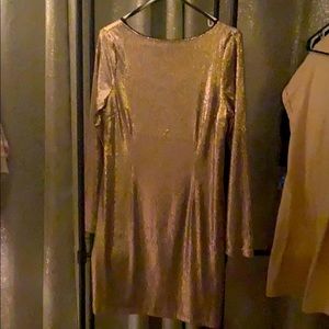 Kardashian Collection Shimmer Dress